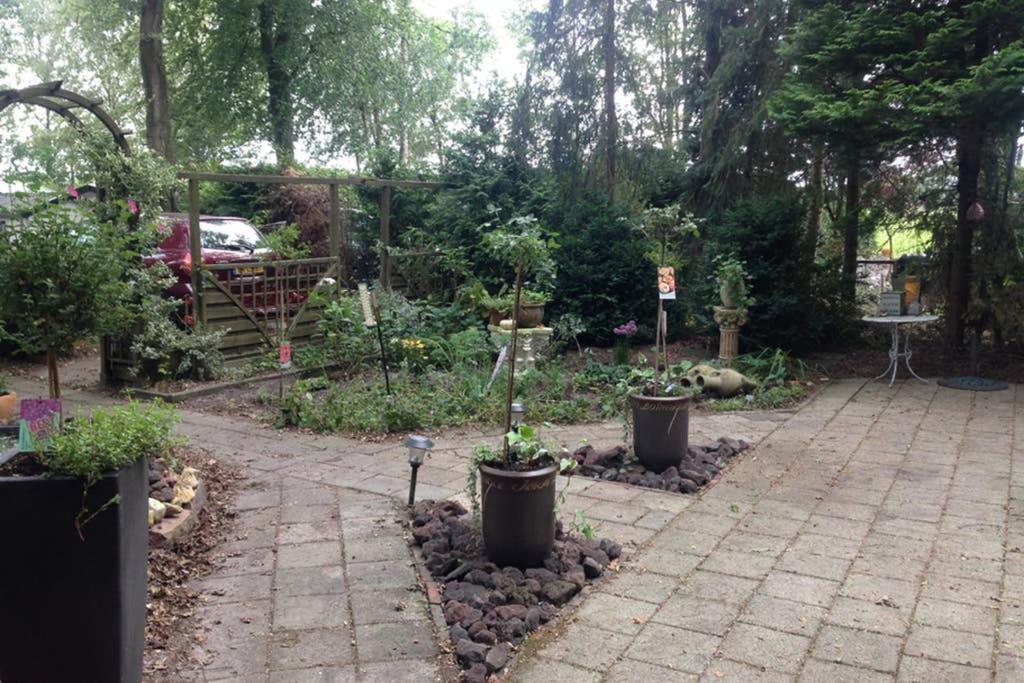 Chalet Met Veranda Aan Bosrand Vledder Exterior photo